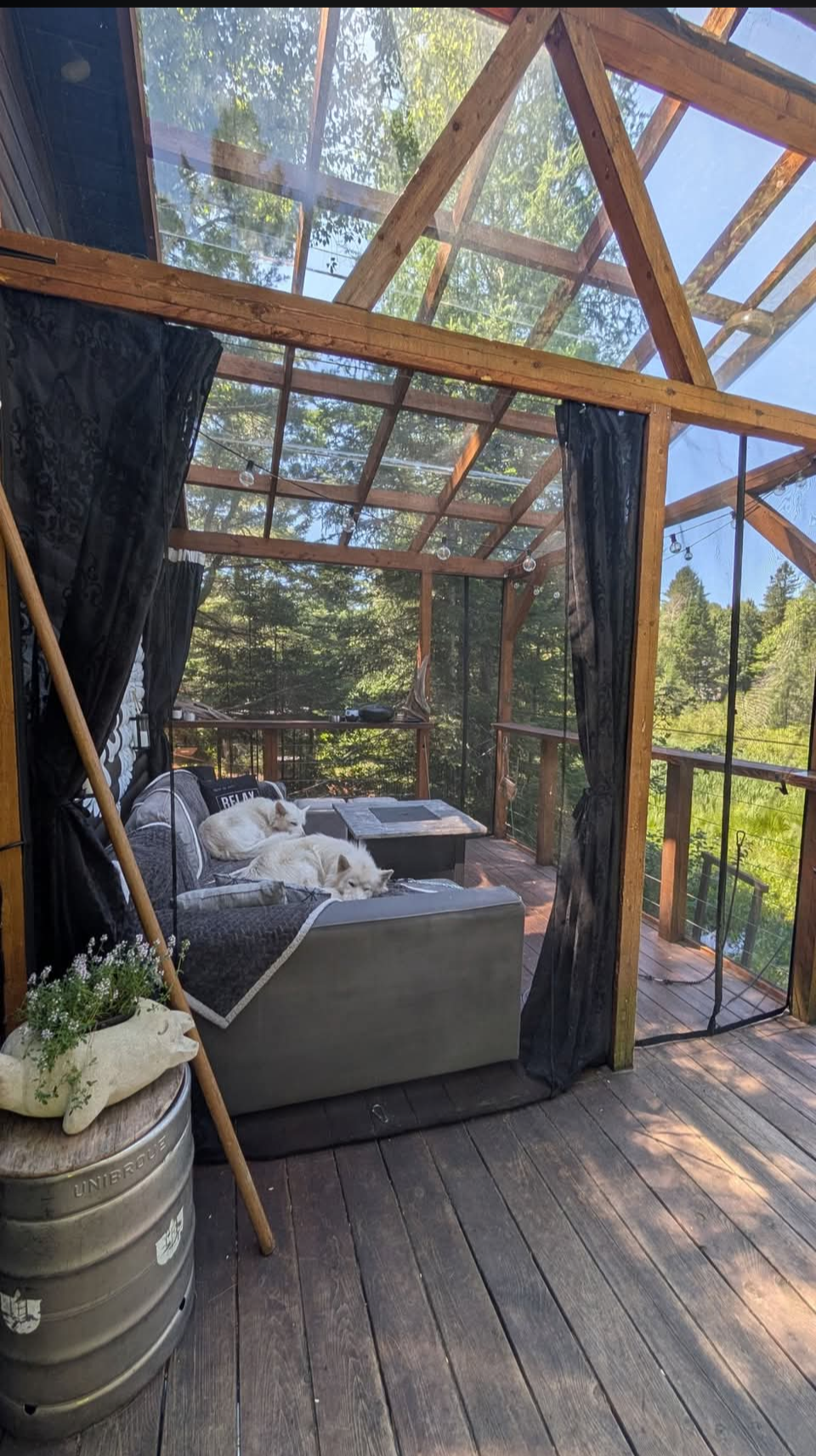 Pergola avec les chiens — Ava Kwe